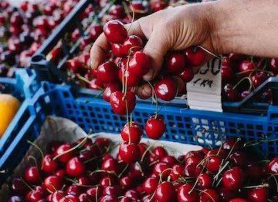 В Волгоградскую область за неделю поступило более 160 тонн иранских фруктов